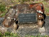 image of grave number 918195